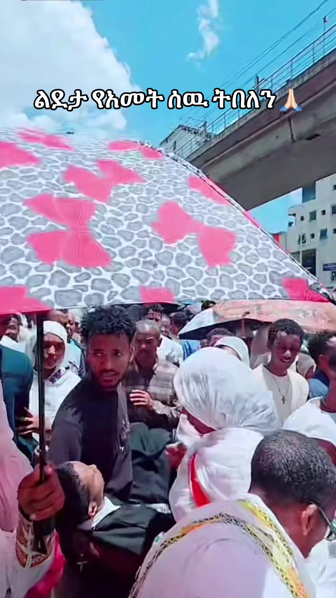 @አዲስዋ ልቤ ልብ ውልቅ ሀበሻና ሹፎን