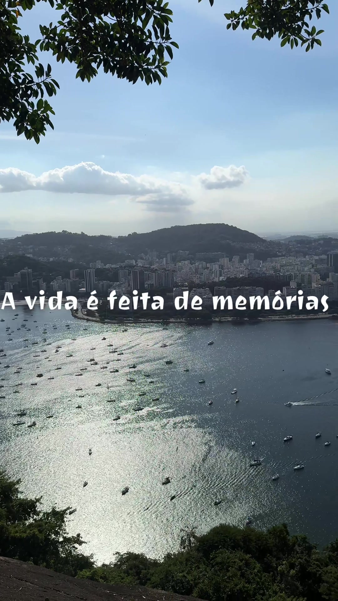 @leo minhano