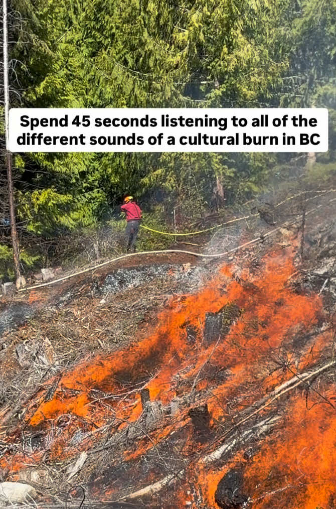 @BC Bob