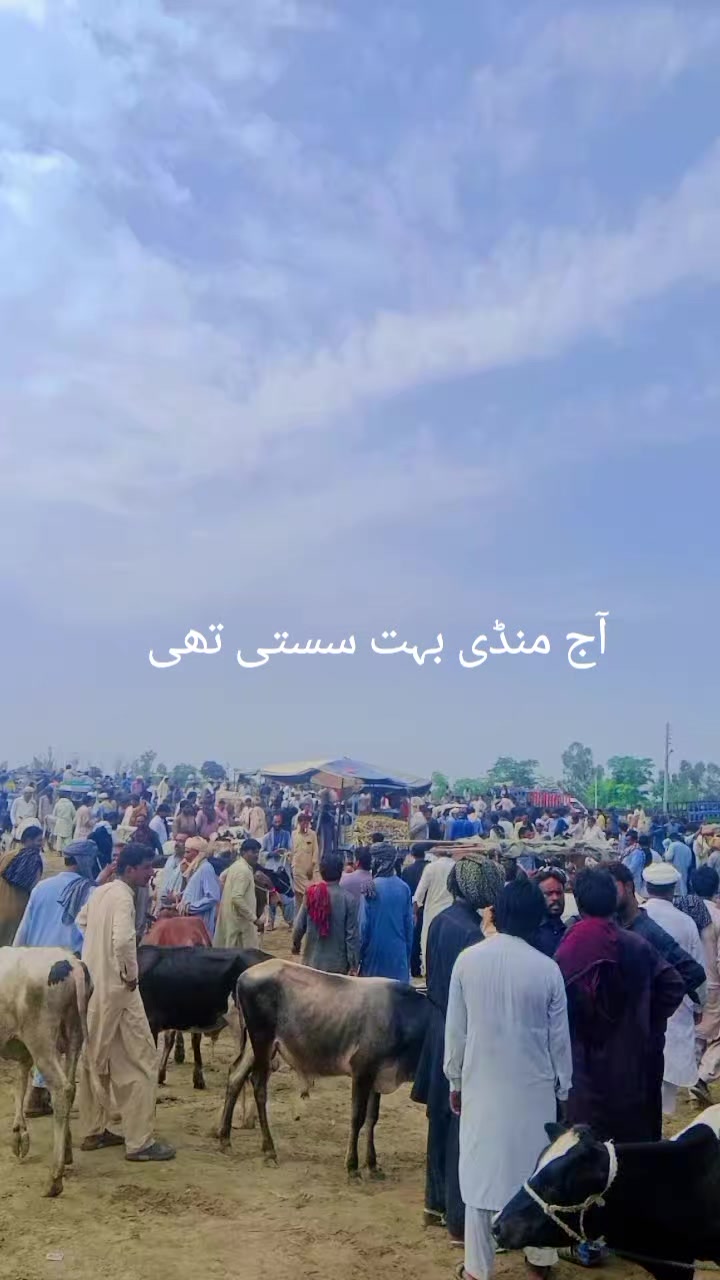 @mazhar Iqbal layyah wal