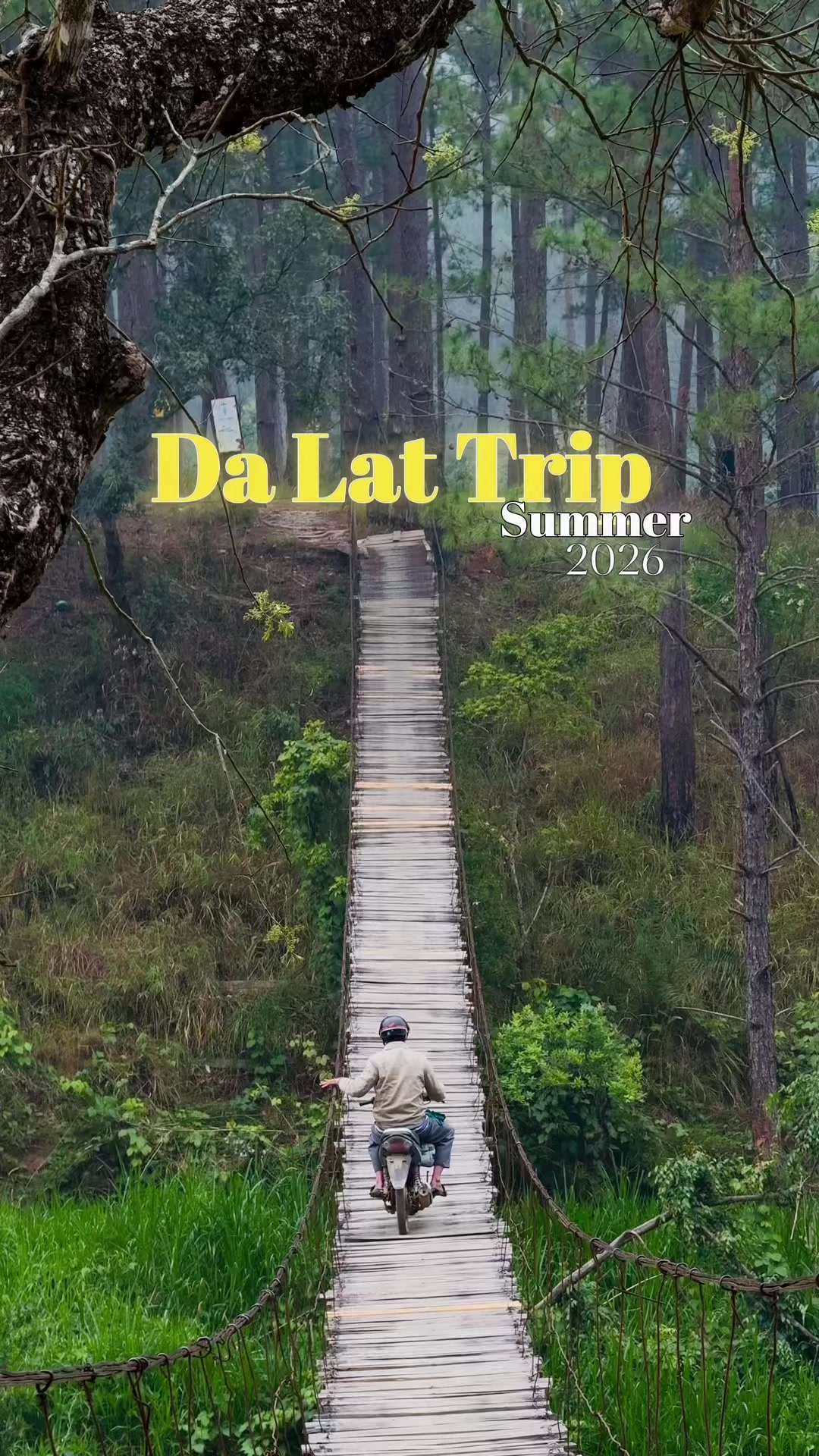 @Đà Lạt Memories