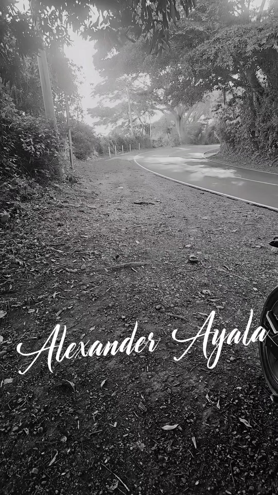 @alex💯 🧃la rojita❤️🔥🇸🇻
