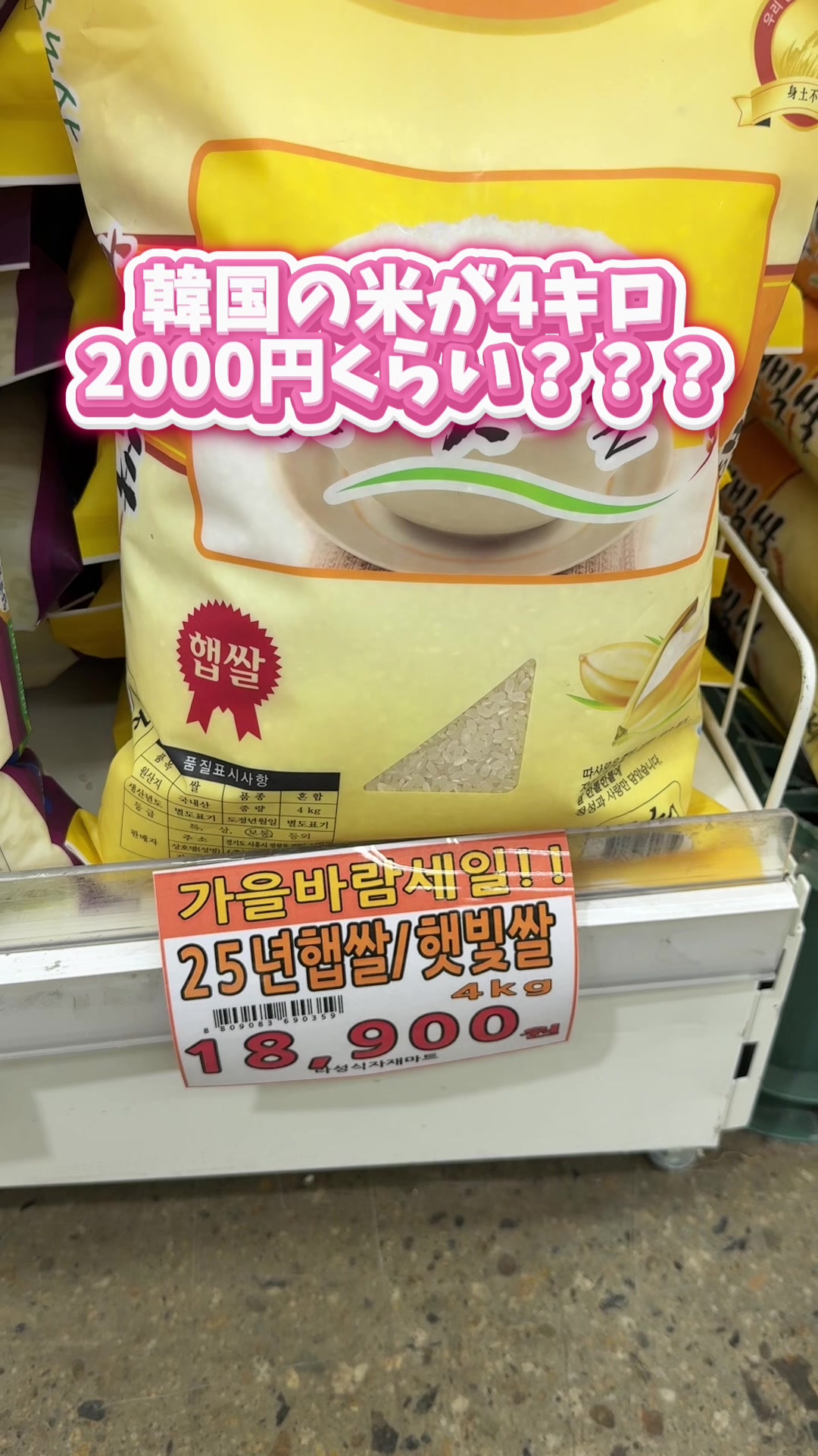 @Kojisaitojp