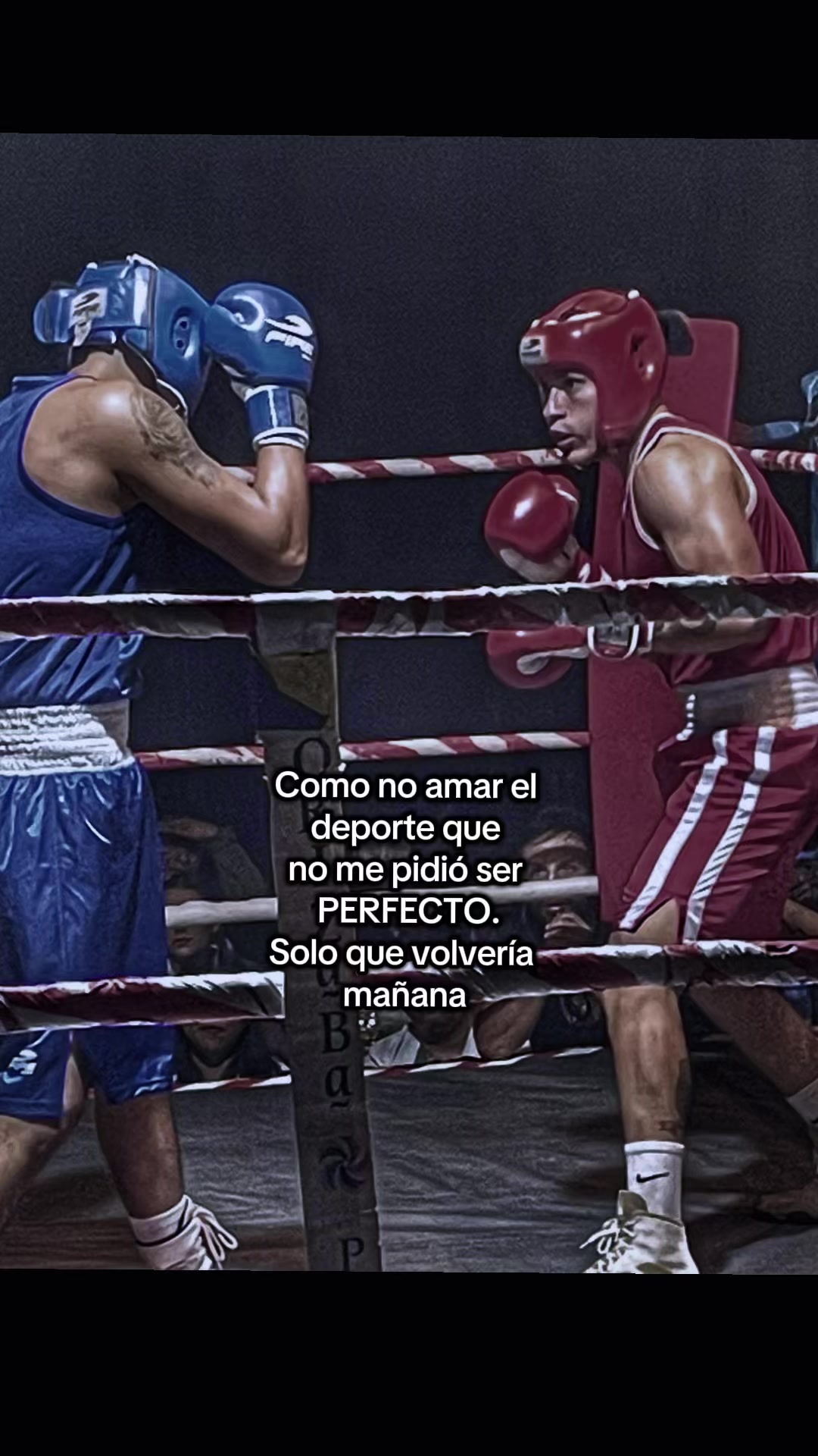 @El wero
