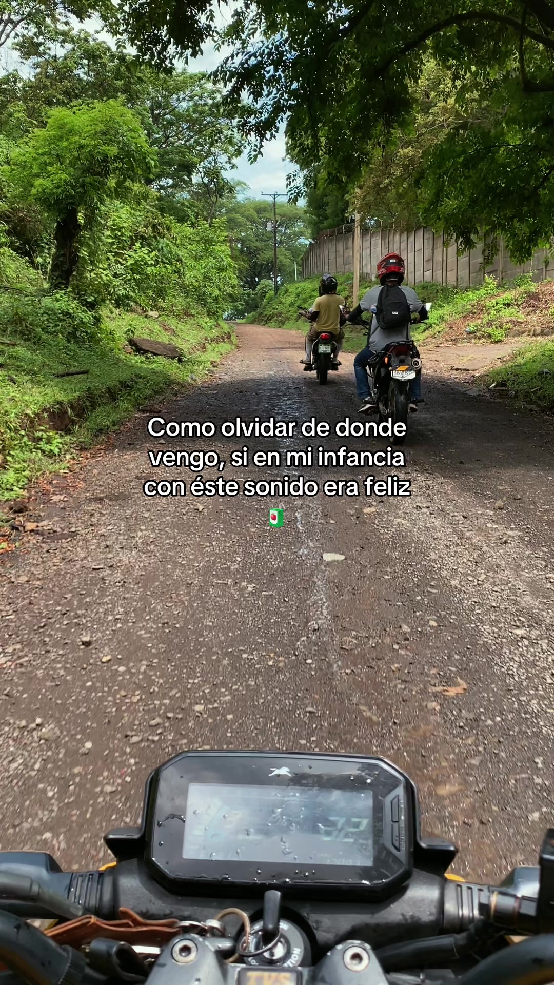@ sv.brixn_11