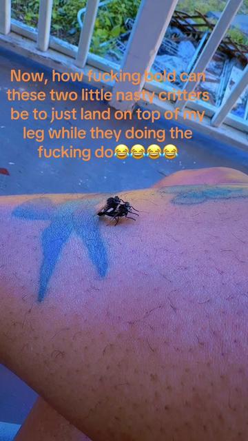 @Trini_goddess💛🇹🇹