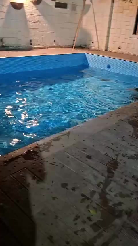 @سبحان راجپوت 🦅