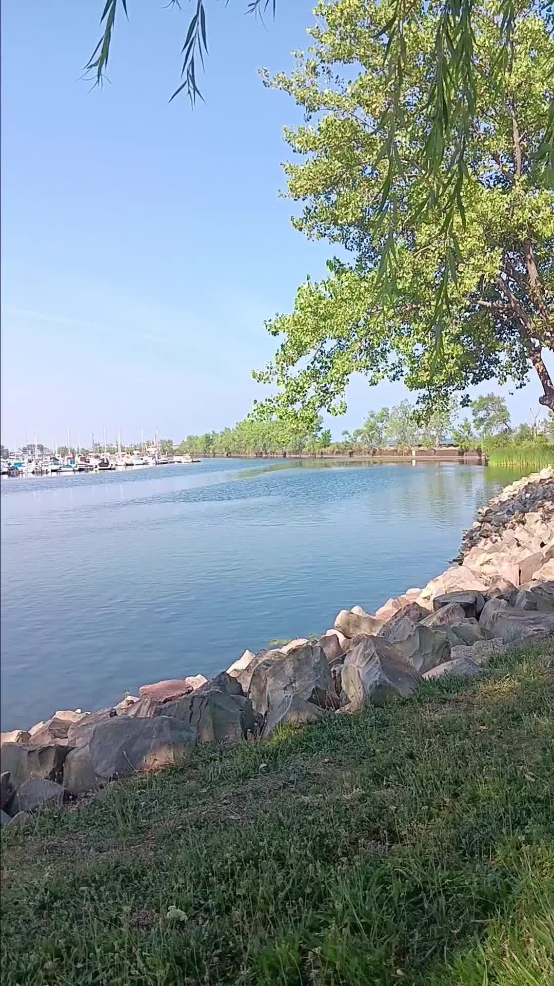 @biology_brat_mk2