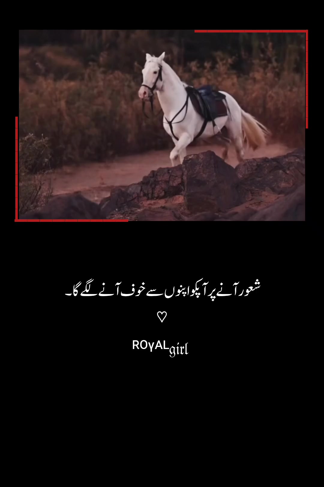 @Royal_girl🤞🏻😎