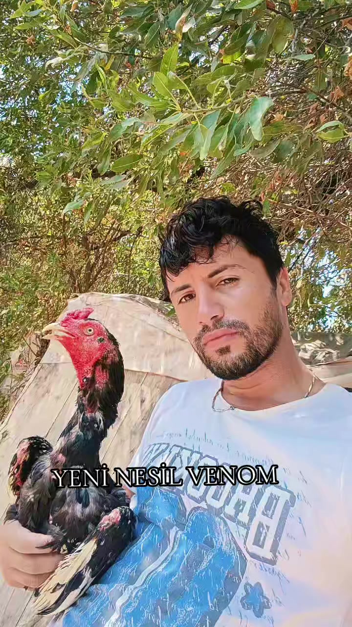 @HOROZCU CANE 🐓