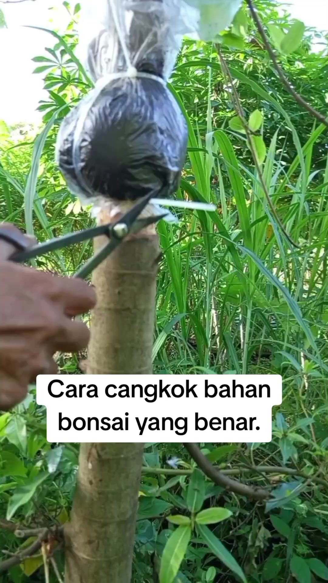 @Bos07
