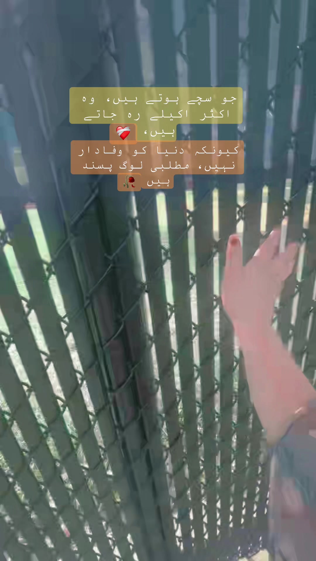@🇺🇸Nimяa🌷Khan USA👸🏻💫