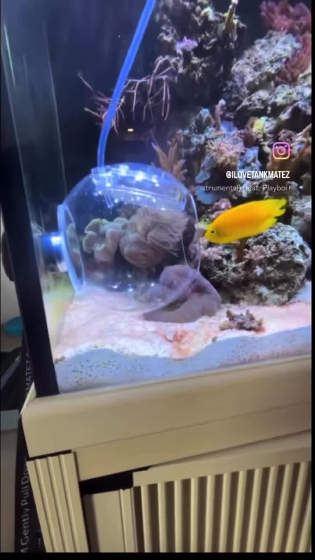 @Tankmatez.com USA