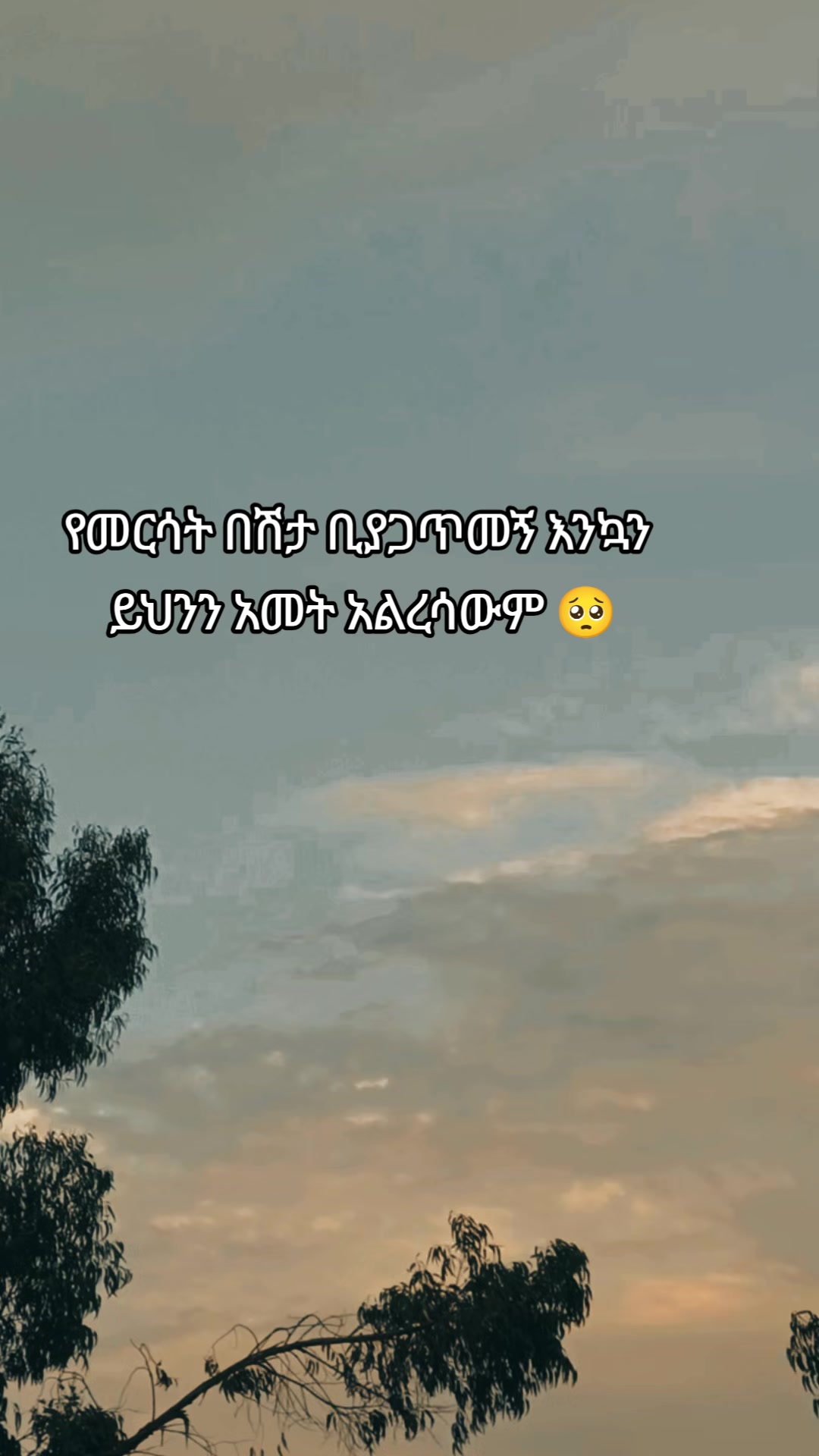 @โจ TEMU Quotes