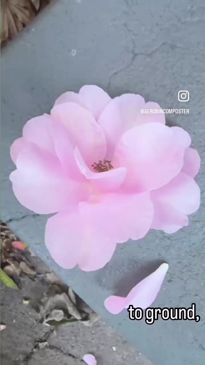 @aerobincomposter
