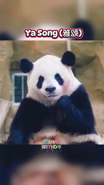 @SanDee•唯珊