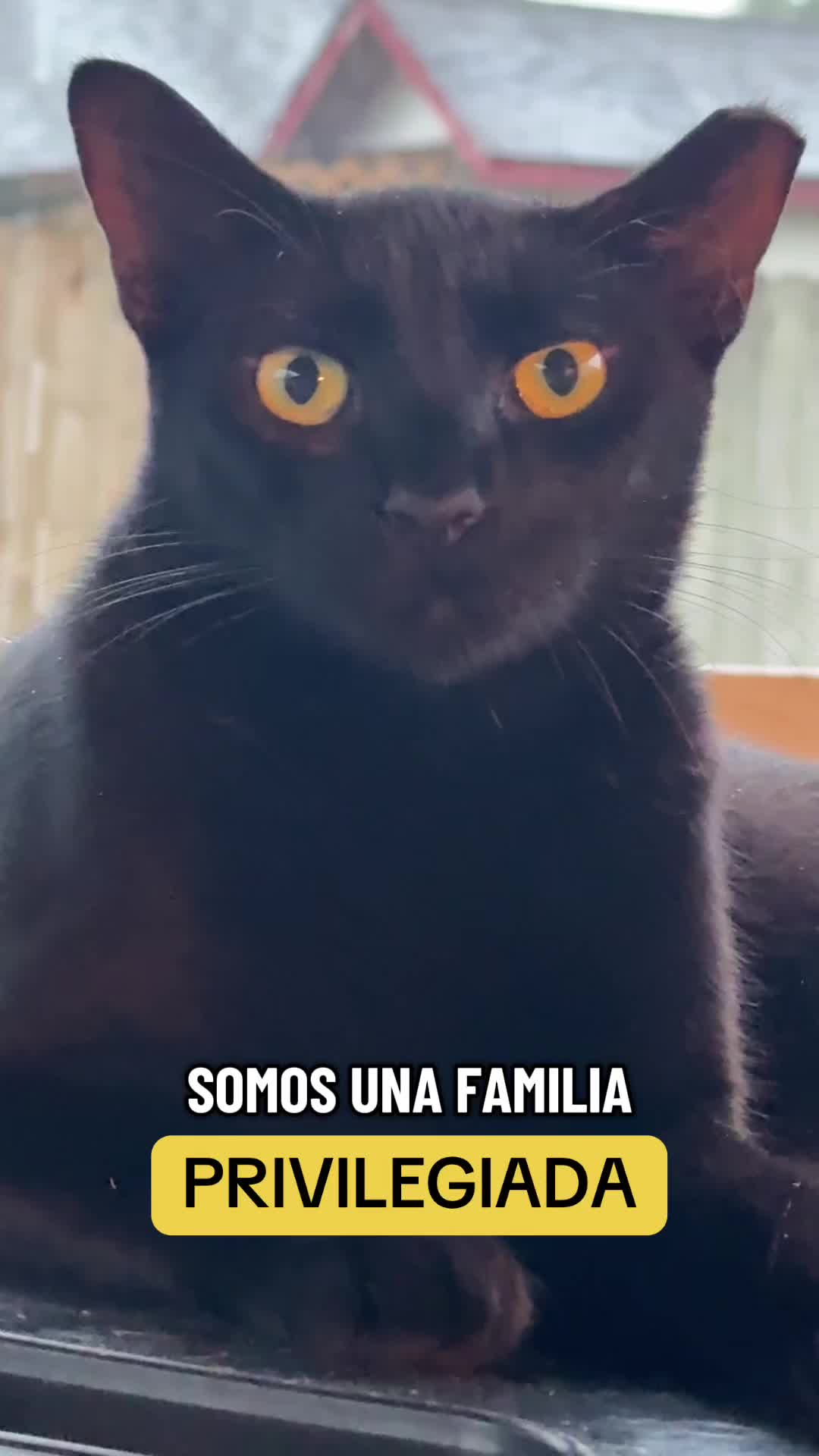 @mili_la_yorki