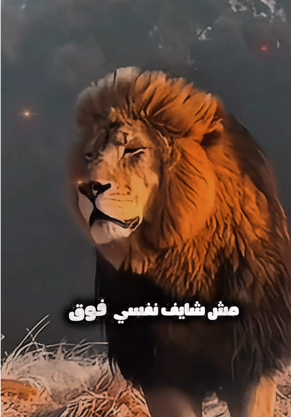 @𝐀𝐇𝐌𝐄𝐃࿐𝐑𝐎𝐌𝐀💫