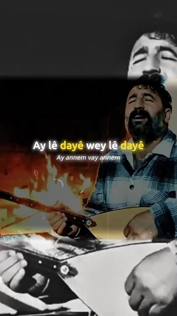 @ʀᴏᴊᴅᴀ şᴇɴꜱᴇᴇꜱ ꜰᴀɴ.𝟨𝟥𝟪𝟤