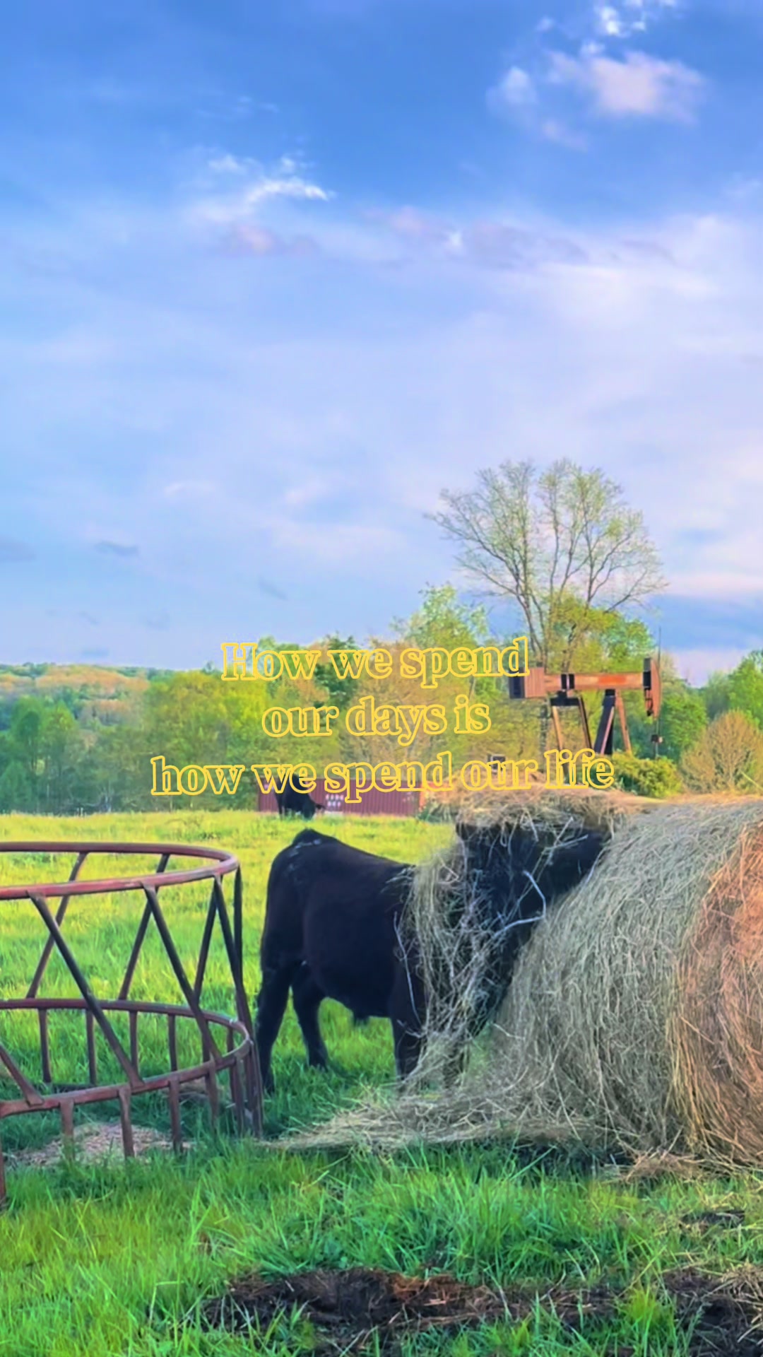 @Sami • LDH Farmstead