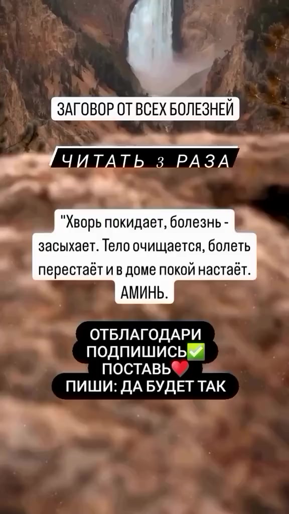 @tarolog_luba