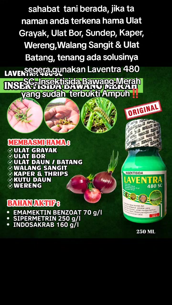 @Awig Shop Jaya Santosa
