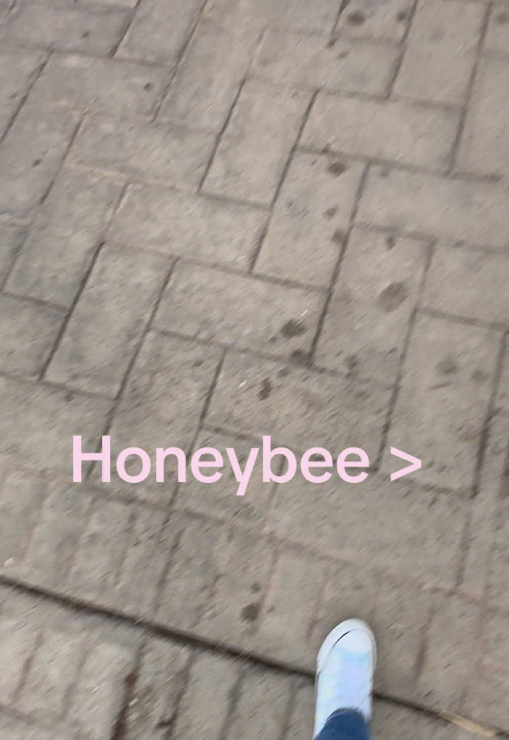 @Blueelie