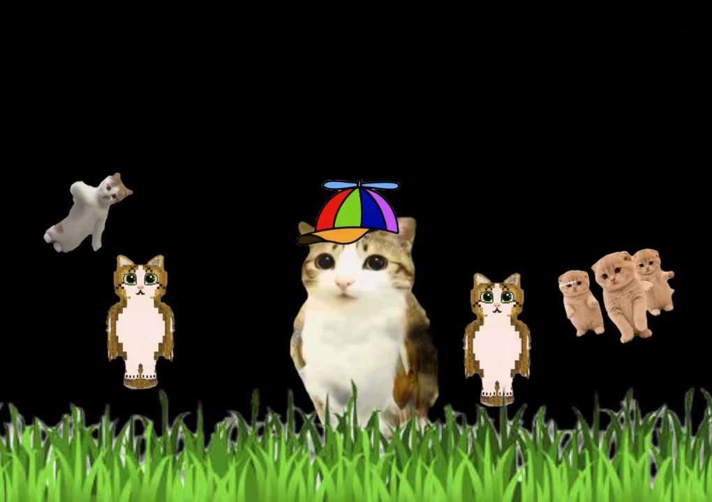 @meowl