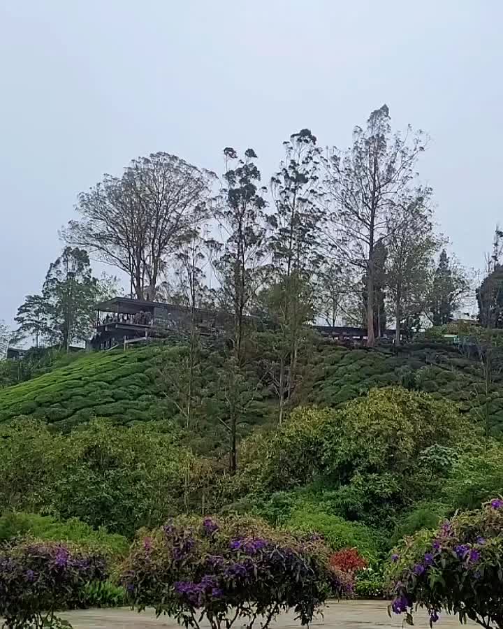 @AzriAzmi