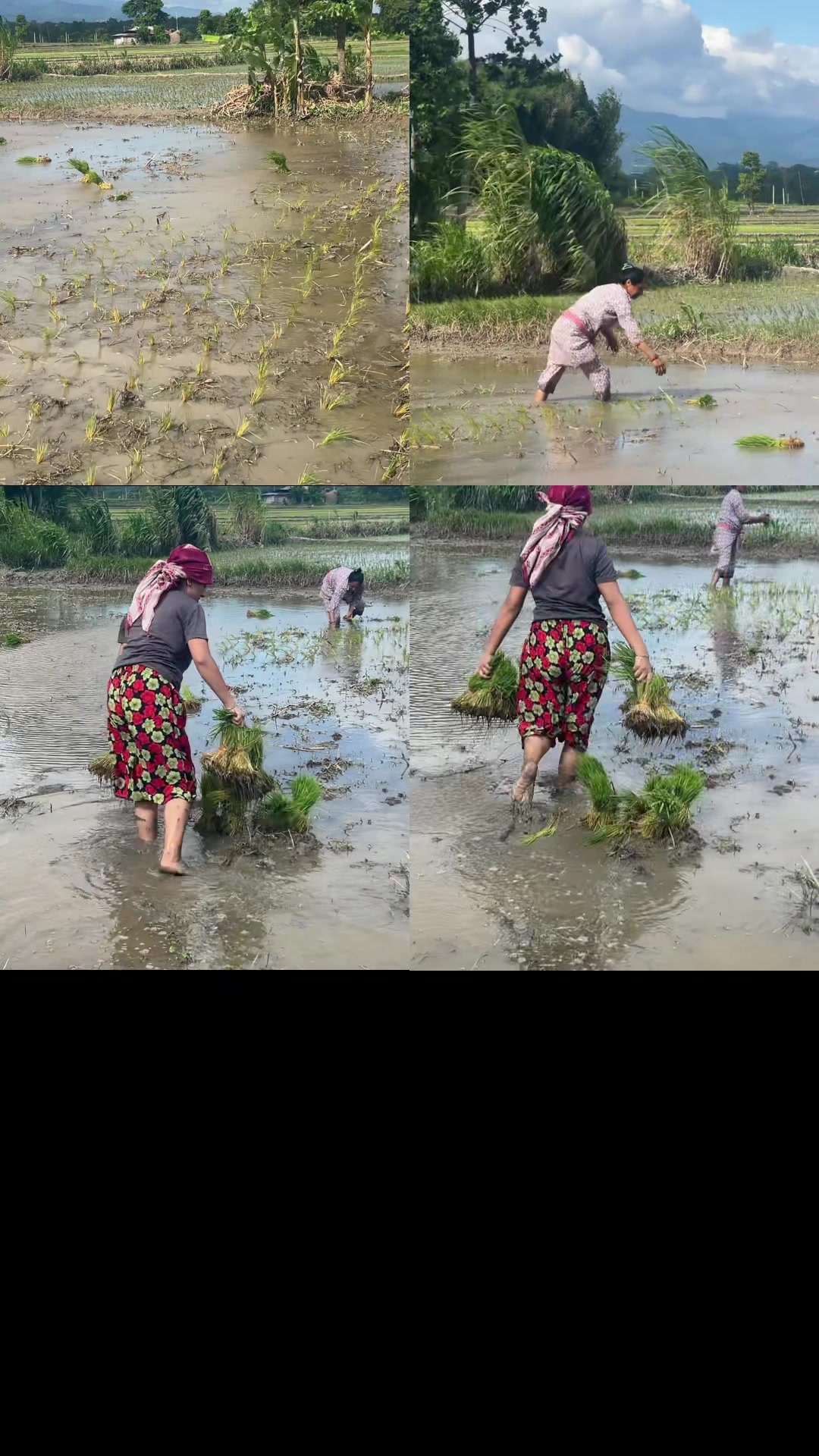 @Anita basnet