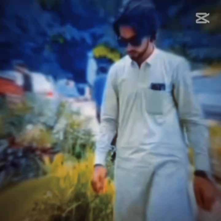 @👑BAGHI EDIT👑