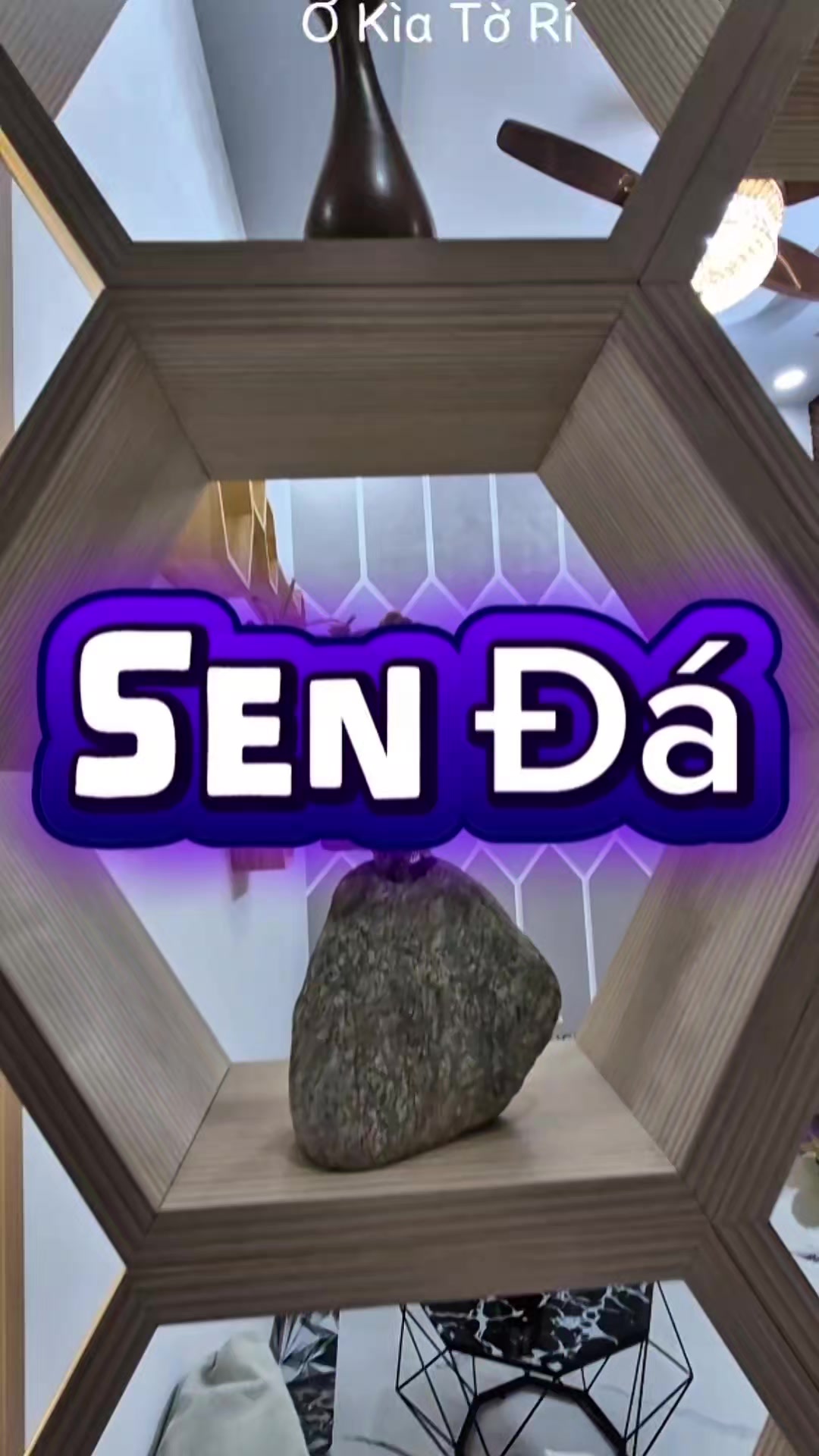 @Ơ K&igrave;a Tờ R&iacute;