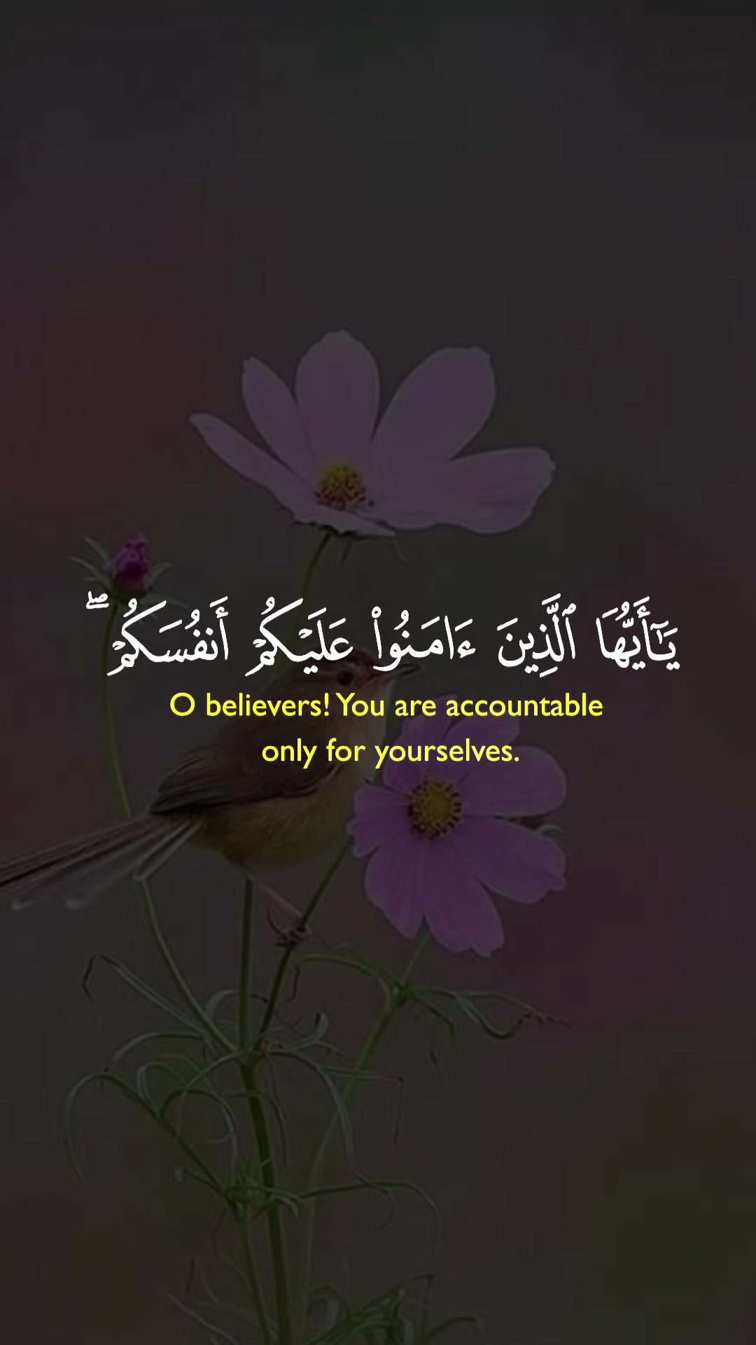@رهف🤍🦋