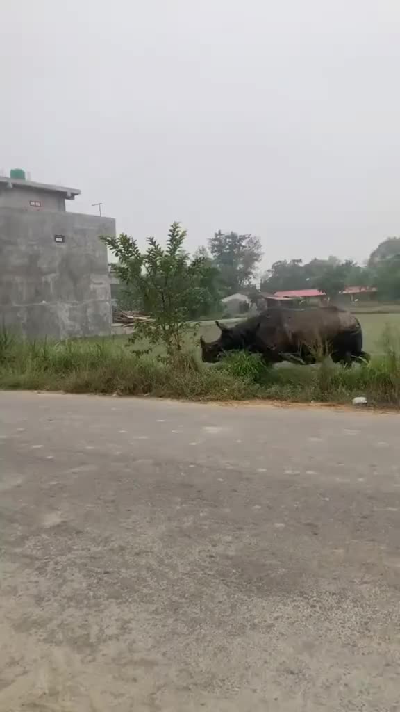 @𝐁𝐈𝐒𝐇𝐍𝐔 𝐃𝐄𝐕