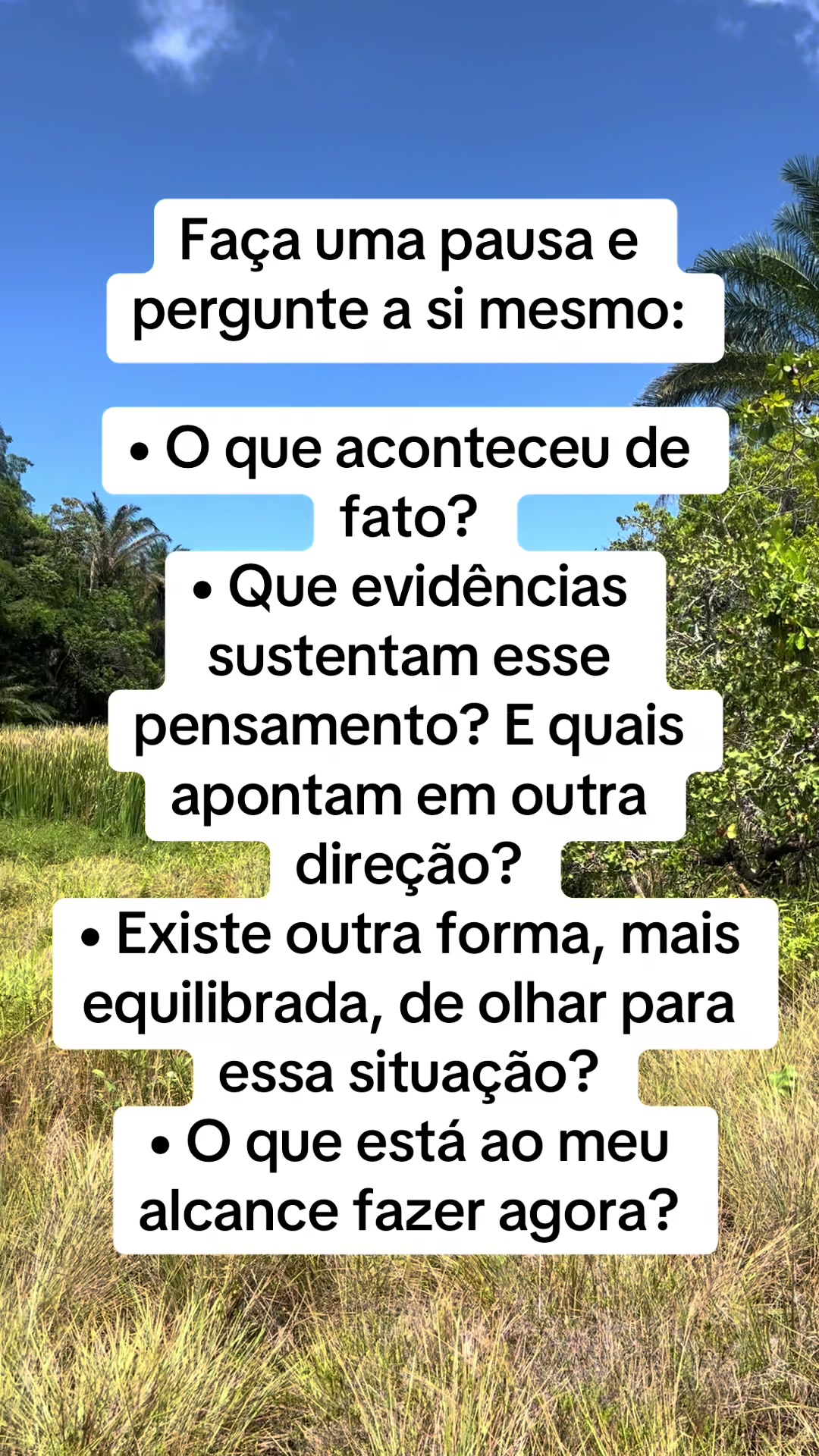 @Vanessa E. Santos | Terapeuta