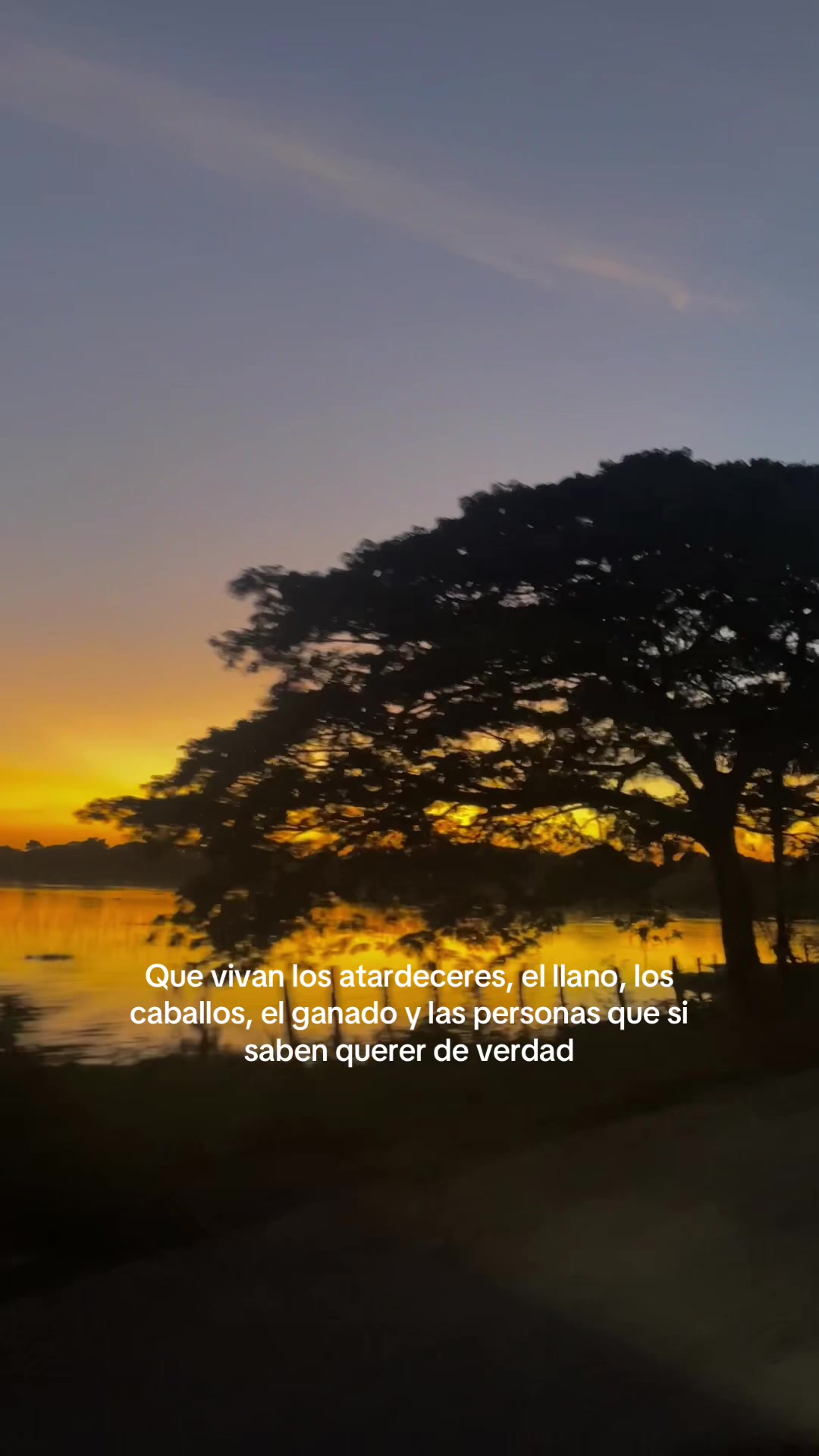 @Valeria Contreras