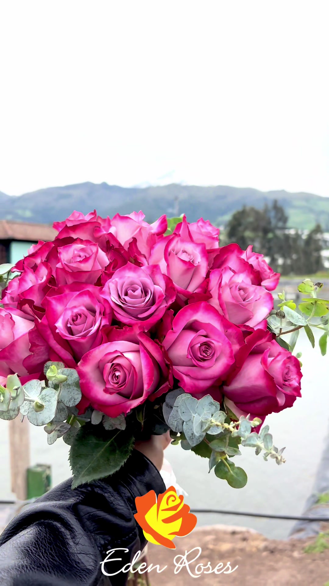 @Eden Roses