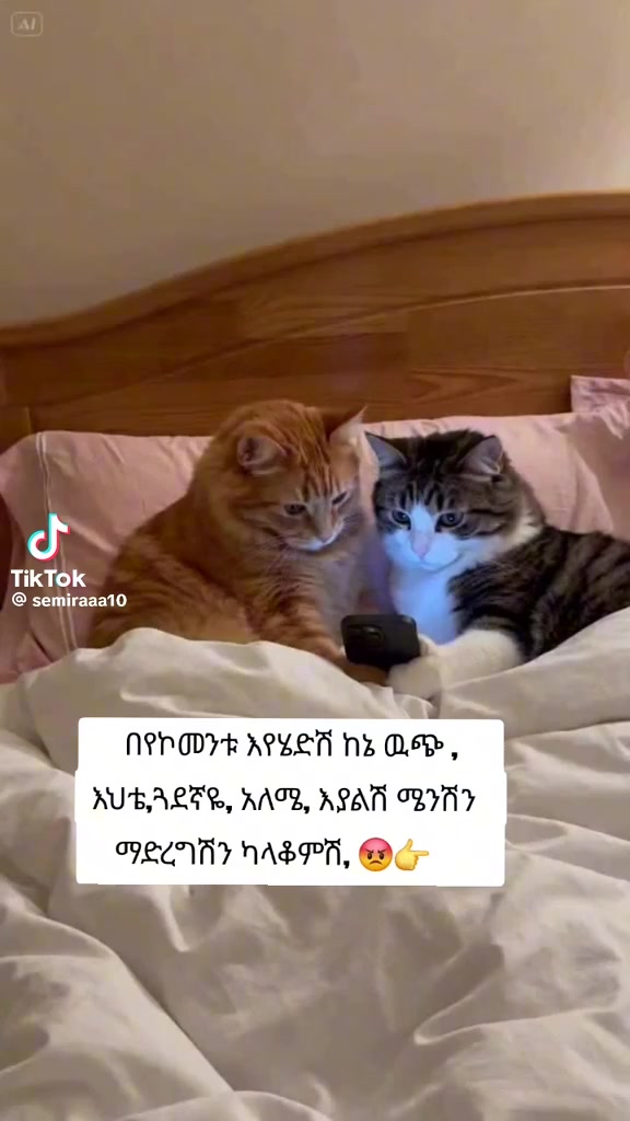 @እየሩሳሌም  ሚኒ ማርኬት