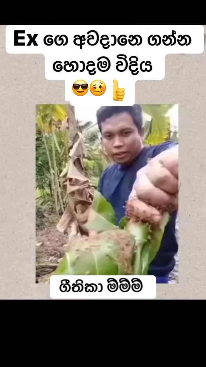 @Lashan indunil 🇱🇰 ✔️