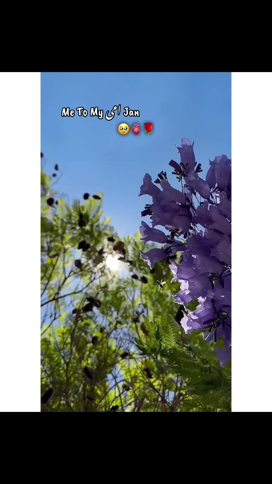 @✨ＫＨＯＫＨＲ❤️&zwj;🩹