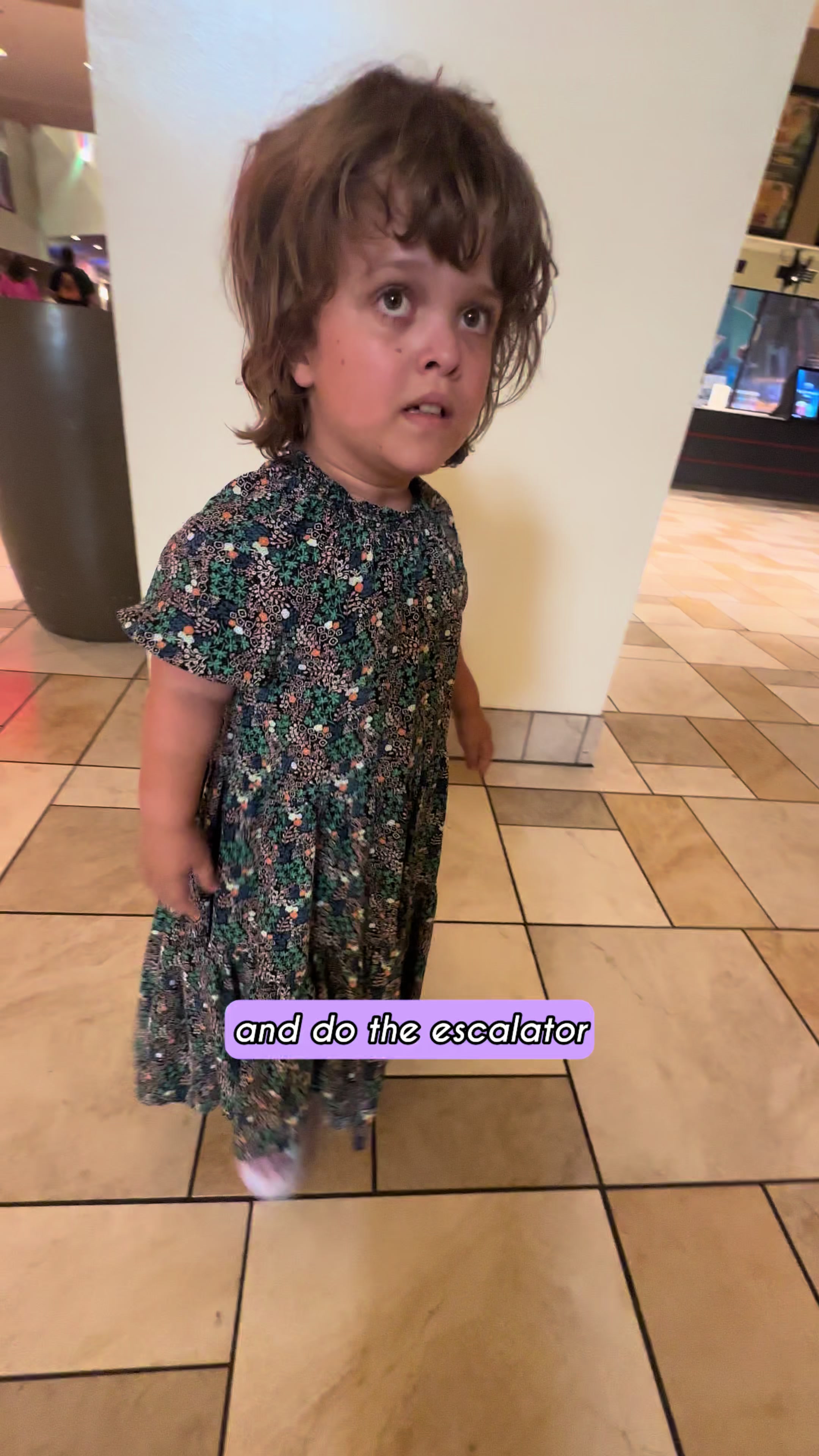 @Terra Jolé