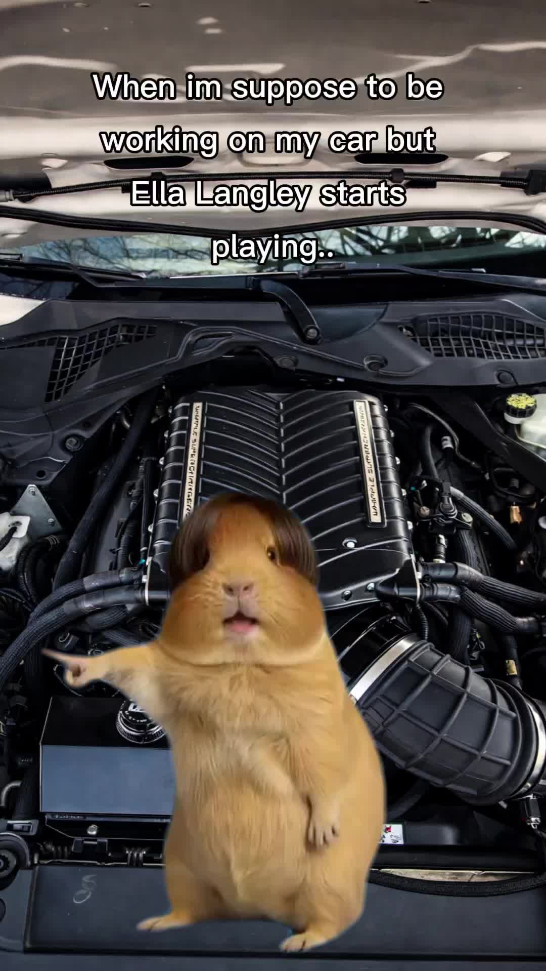 @Joey
