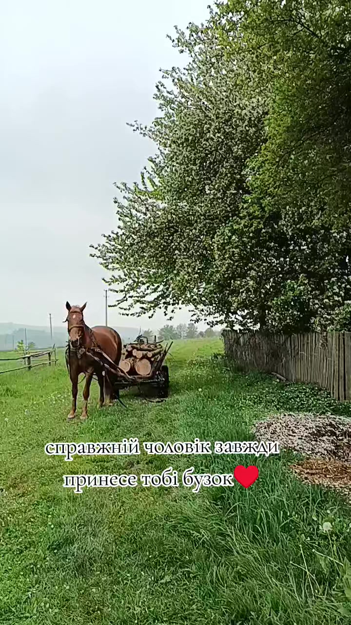 @Бубуся&hearts;️