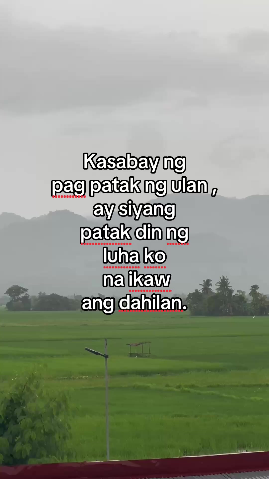 @Nicole Marinay