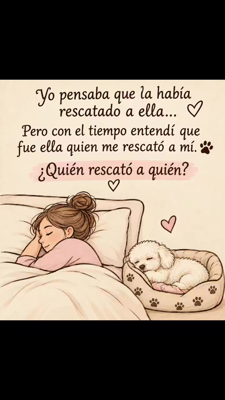 @Gabriela Torres 3022