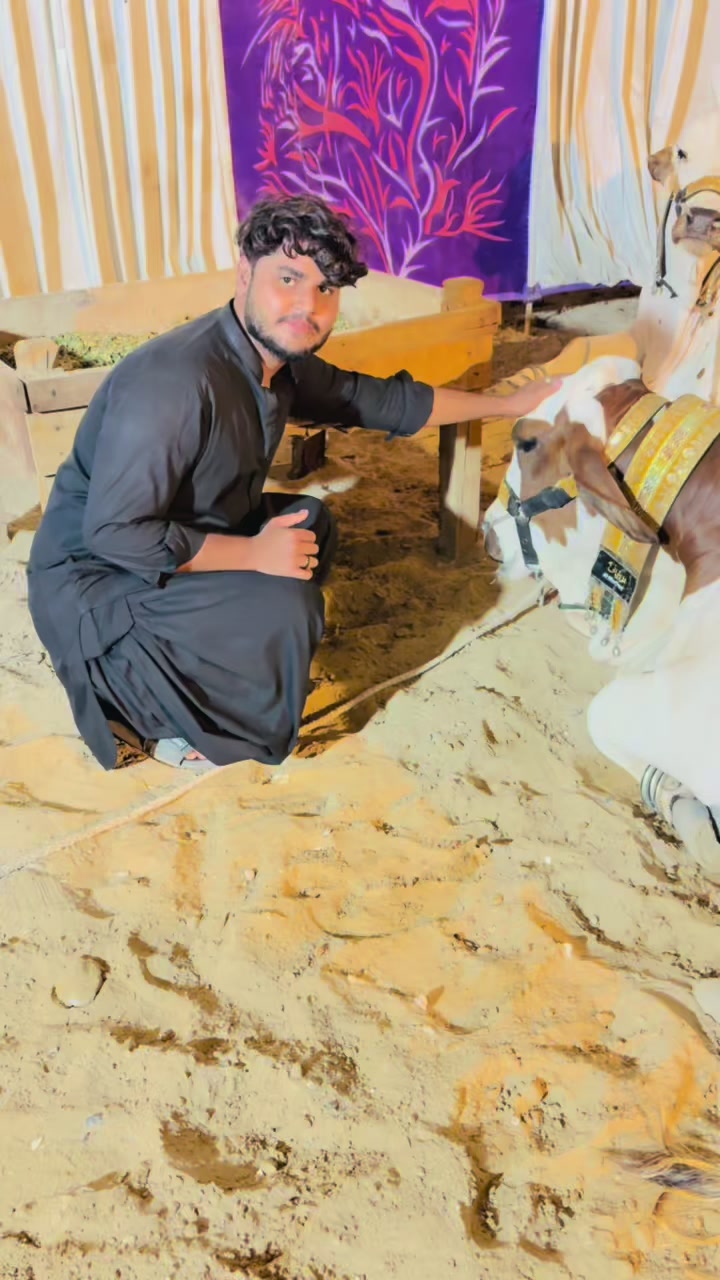 @Malik wajid 786💔