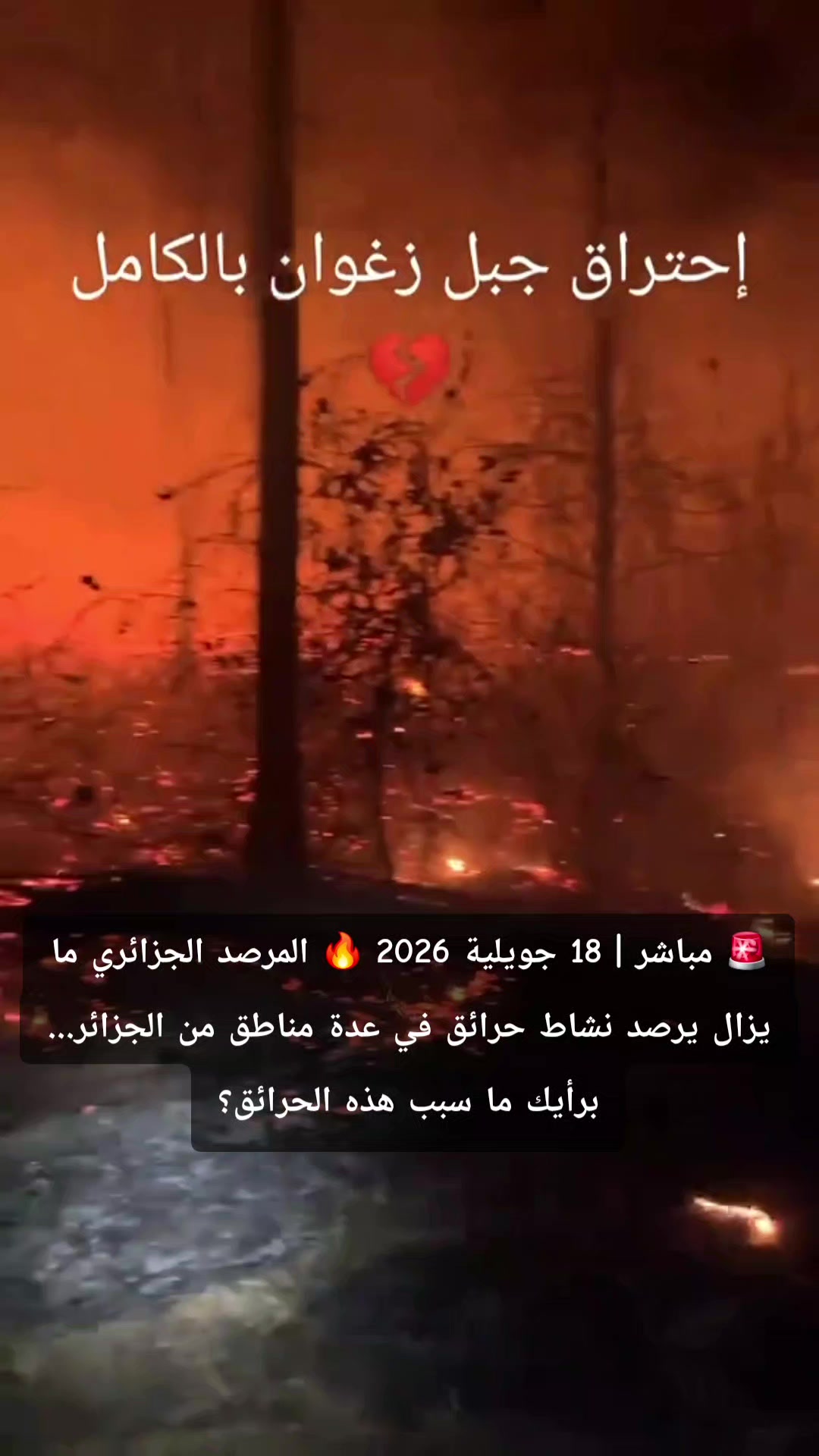 @Walid Seghier