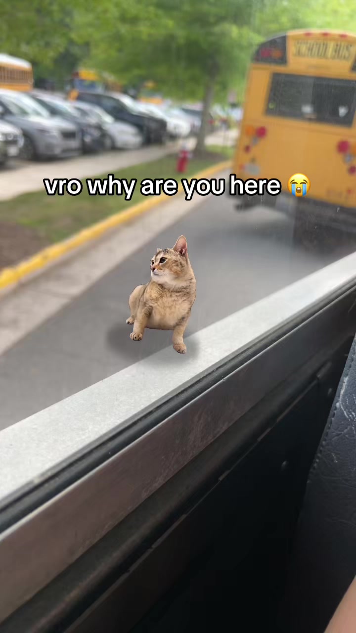 @James 🇰🇷🇮🇪