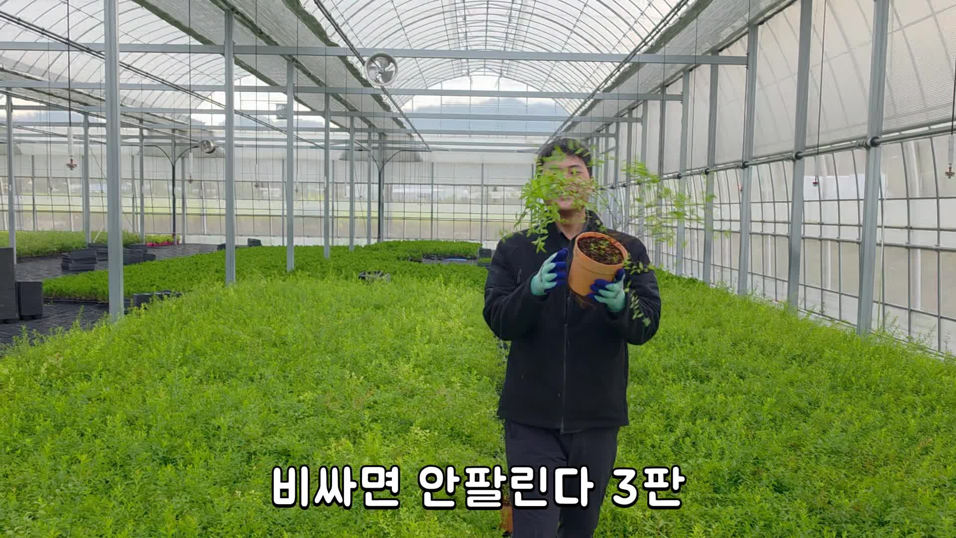 @농업회사법인 영호(주)