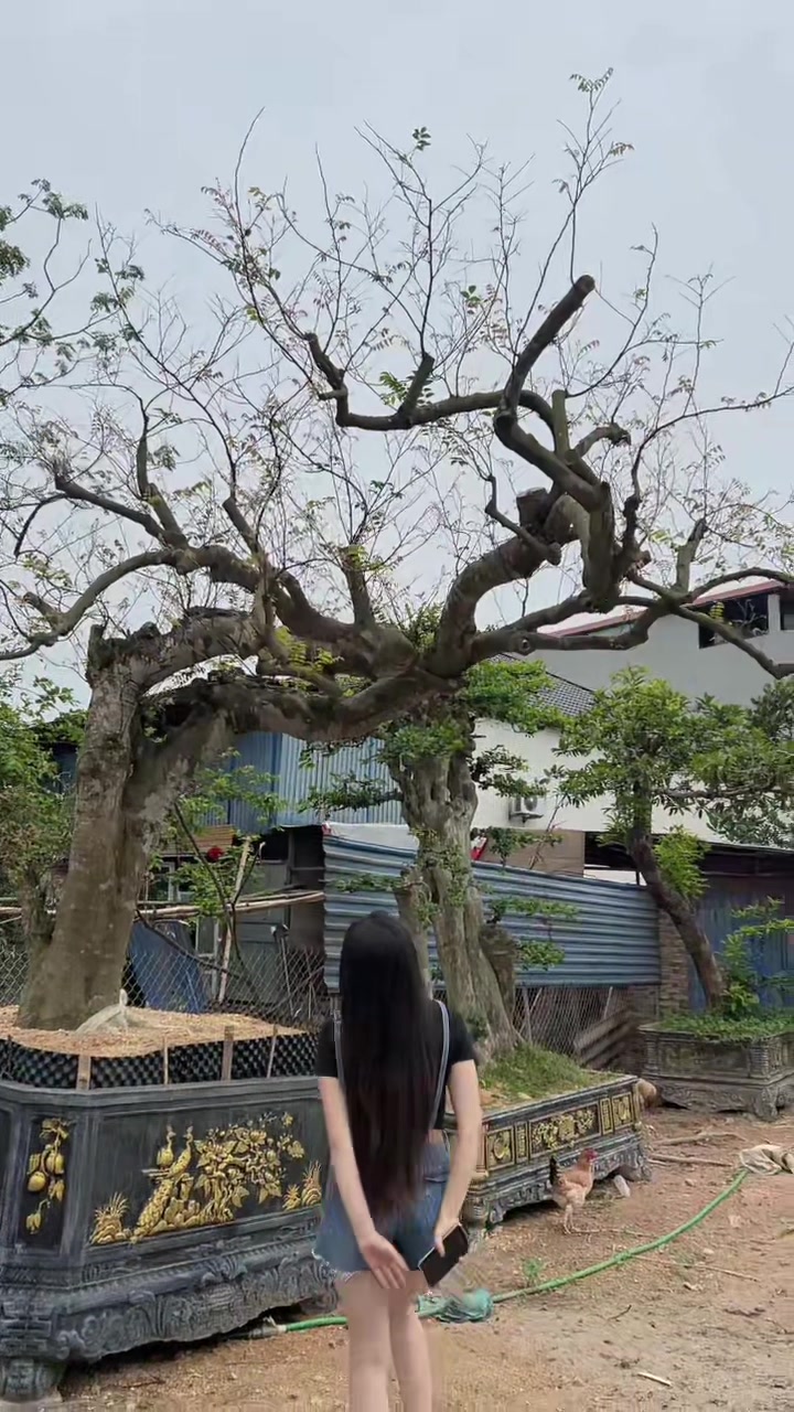 @Khổng La